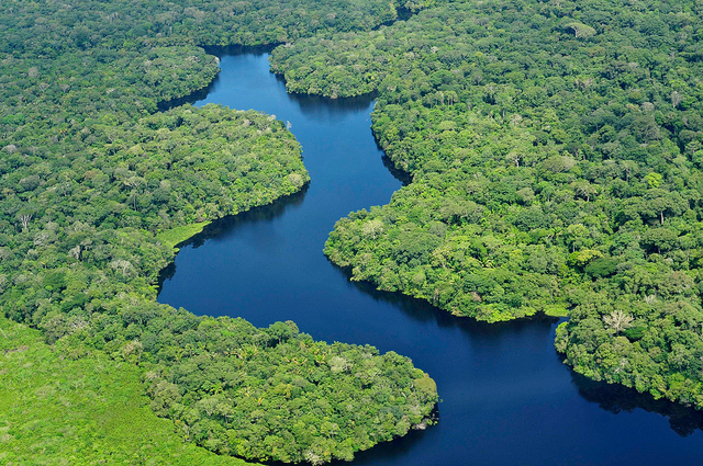 Amazon - An aerial view