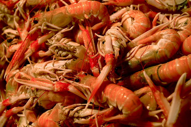 Prawns