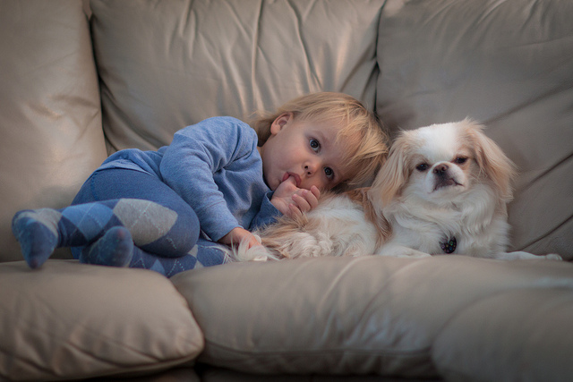 Friends with Paws