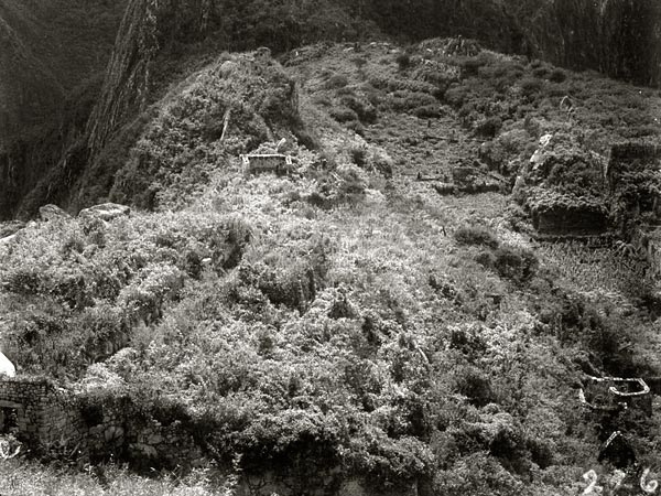 Machu Picchu when discovered by Hiram Bingham in 1911