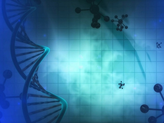 Our History Our DNA