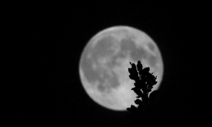 moon