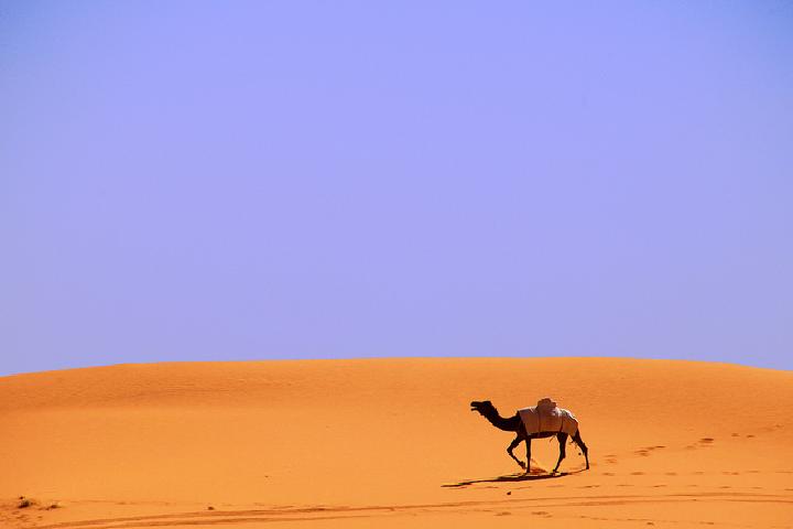 Image Credit: Ahmed Rabea, via CC