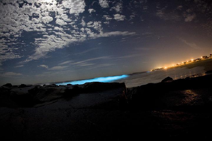 Image Credit: Flickr User Catalano82, via CC