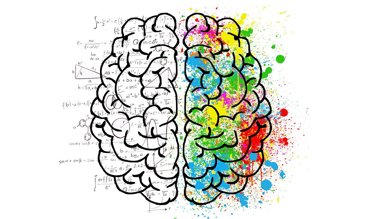 Brain facts for kids
